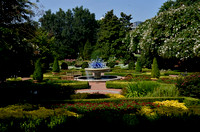 Atlanta Botonical Gardens
